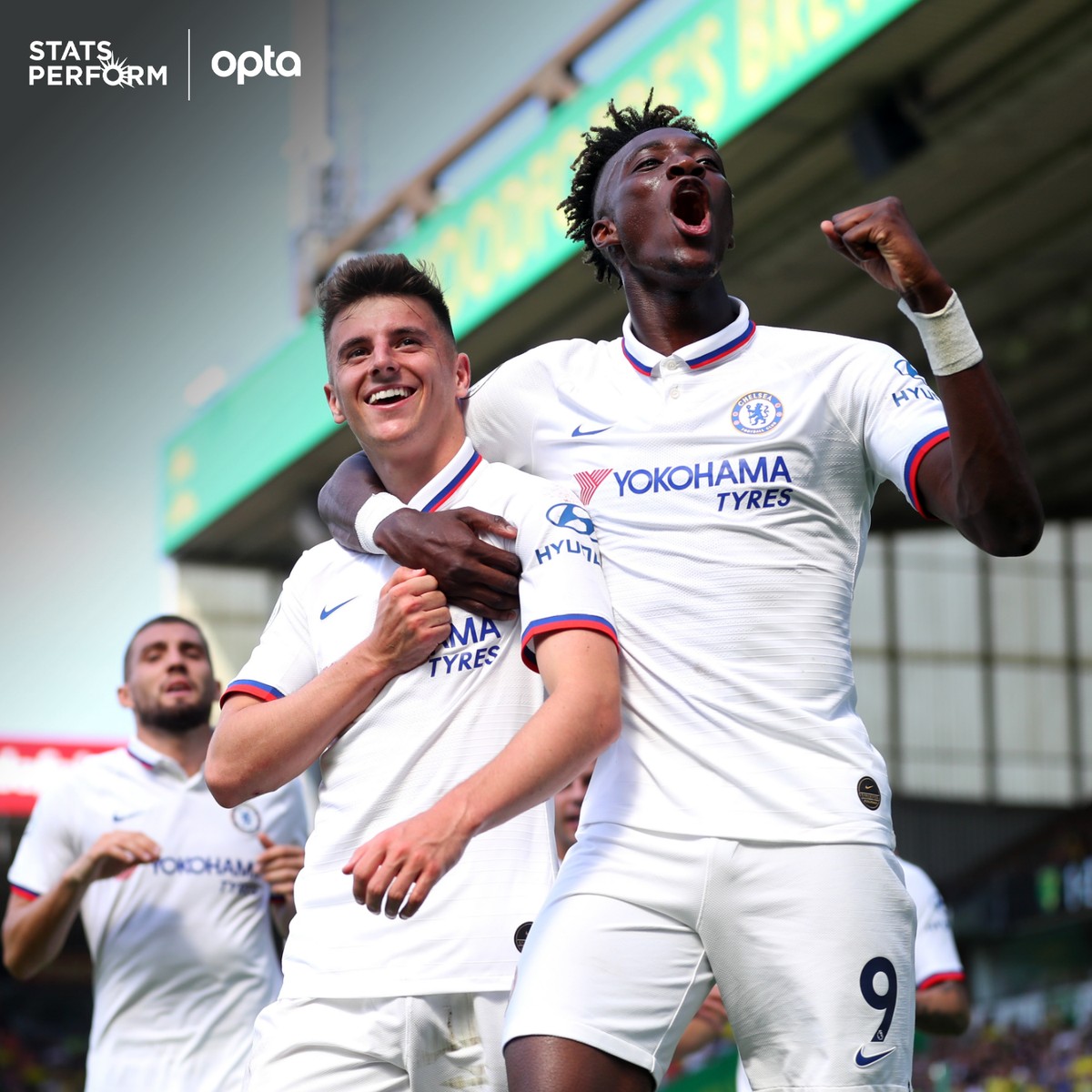 这对组合的 这对组合的